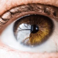 Signs of Retinal Damage: When to See a Retinal Specialist